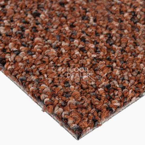 Desso Solid ac 73 5031 фото 9 | FLOORDEALER