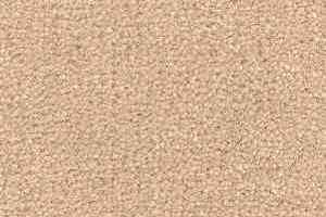 Ковролин Radici Montecarlo 37 фото  | FLOORDEALER