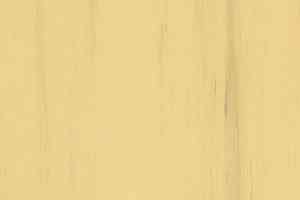 Линолеум Lino Fatra DUAL 830 фото  | FLOORDEALER