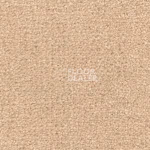 Ковролин Radici Montecarlo 37 фото 1 | FLOORDEALER