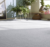 Vorwerk Essential 1008 Vorwerk 5 v 77 фото 4 | FLOORDEALER