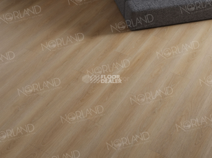 Norland Sigrid  LVT 2мм Eli 1003-6 фото 4 | FLOORDEALER