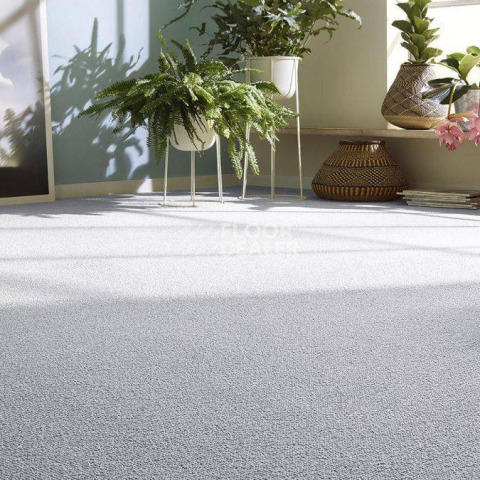 Vorwerk Essential 1008 Vorwerk 5 v 77 фото 4 | FLOORDEALER