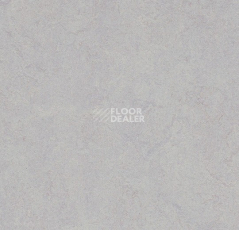 Линолеум Forbo Marmoleum Decibel 388335 moonstone фото 1 | FLOORDEALER