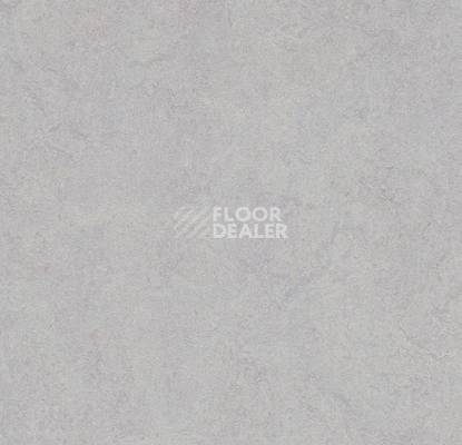 Линолеум Forbo Marmoleum Decibel 388335 moonstone фото 1 | FLOORDEALER