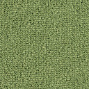 Ковролин Balsan Les Best 255  | FLOORDEALER