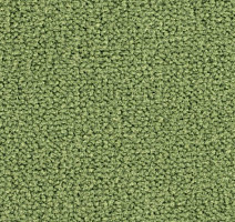 Ковролин Balsan Les Best 255 фото 1 | FLOORDEALER