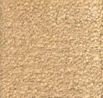 Ковролин Emphatic Beaulieu of America 56151 фото 1 | FLOORDEALER