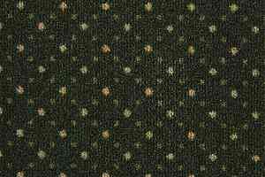 Ковролин Big Carus Exotica 212 фото  | FLOORDEALER