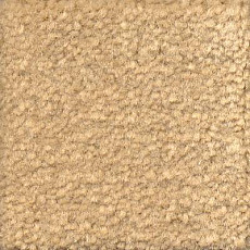 Ковролин Emphatic Beaulieu of America 56151 фото 1 | FLOORDEALER