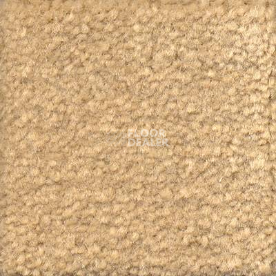 Ковролин Emphatic Beaulieu of America 56151 фото 1 | FLOORDEALER