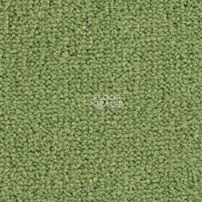 Ковролин Balsan Les Best 255 фото 1 | FLOORDEALER