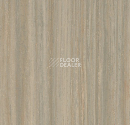 Линолеум Forbo Marmoleum Striato Textura 5253 bleached gold фото 1 | FLOORDEALER