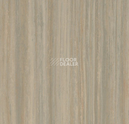 Линолеум Forbo Marmoleum Striato Textura 5253 bleached gold фото 1 | FLOORDEALER