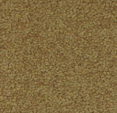 Ковровая плитка Forbo Tessera Acrobat 1321 фото 1 | FLOORDEALER