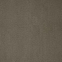 Ковролин Balta ITC Prominent 49  | FLOORDEALER