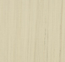 Forbo Marmoleum Неожиданная природа 3575 фото 1 | FLOORDEALER