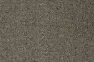 Ковролин Balta ITC Prominent 49 фото  | FLOORDEALER