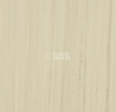 Линолеум Forbo Marmoleum Неожиданная природа 3575 фото 1 | FLOORDEALER