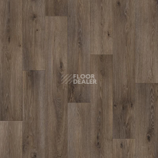 Линолеум Tarkett ENERGY BOIL 3 фото 1 | FLOORDEALER