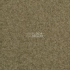 Ковровая плитка Modulyss Cambridge 662 фото 1 | FLOORDEALER