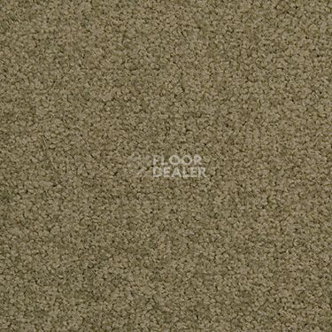 Ковровая плитка Modulyss Cambridge 662 фото 1 | FLOORDEALER