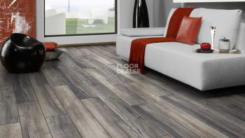 Kronotex Robusto 12мм d3572 Дуб Портовый Серый фото 2 | FLOORDEALER