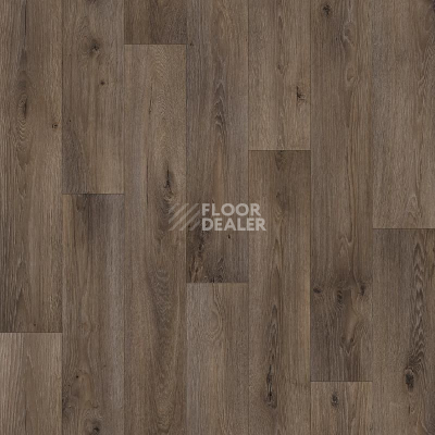 Линолеум Tarkett ENERGY BOIL 3 фото 1 | FLOORDEALER