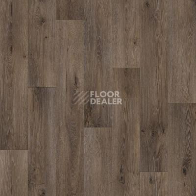 Линолеум Tarkett ENERGY BOIL 3 фото 1 | FLOORDEALER