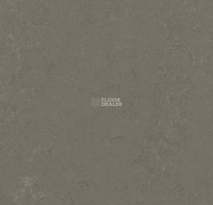 Forbo Marmoleum Decibel 372335 nebula фото 1 | FLOORDEALER