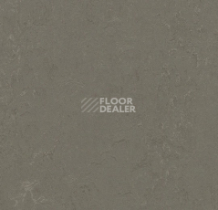 Линолеум Forbo Marmoleum Decibel 372335 nebula фото 1 | FLOORDEALER