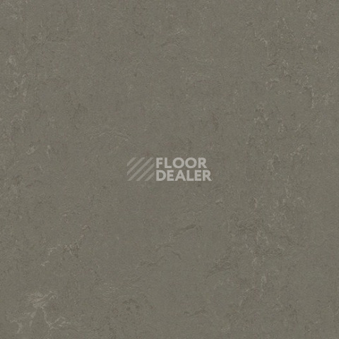 Линолеум Forbo Marmoleum Decibel 372335 nebula фото 1 | FLOORDEALER