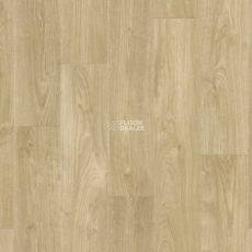 Tarkett ENERGY FARADEY 1 фото 1 | FLOORDEALER