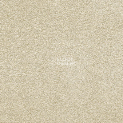 Ковролин AW Masquerade Lamia 33 фото 1 | FLOORDEALER