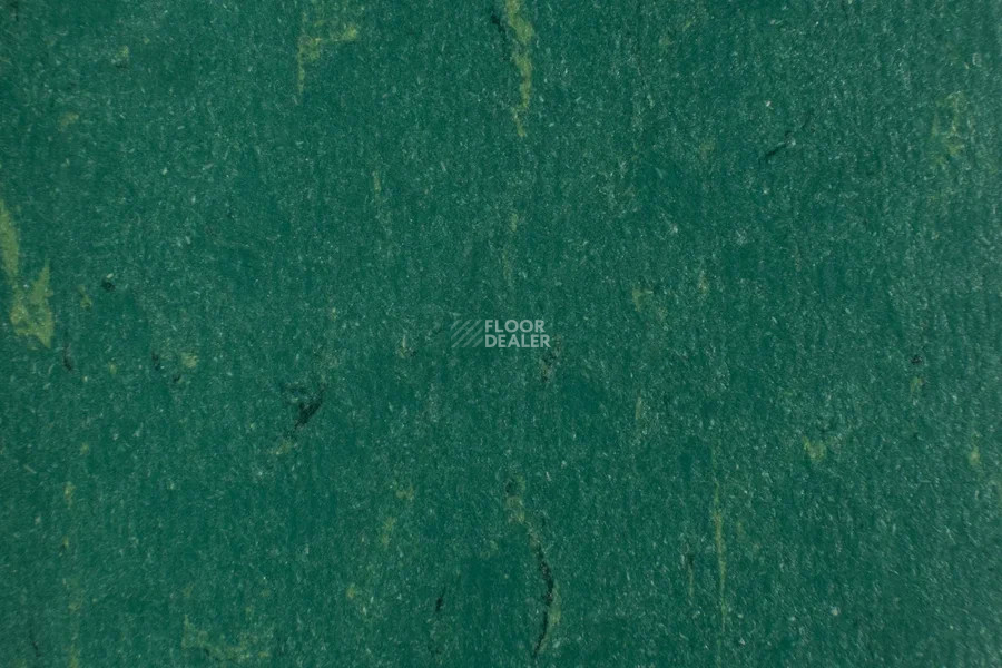 Forbo Marmoleum Solid Piano 3649 - 364935 greenwood фото 2 | FLOORDEALER