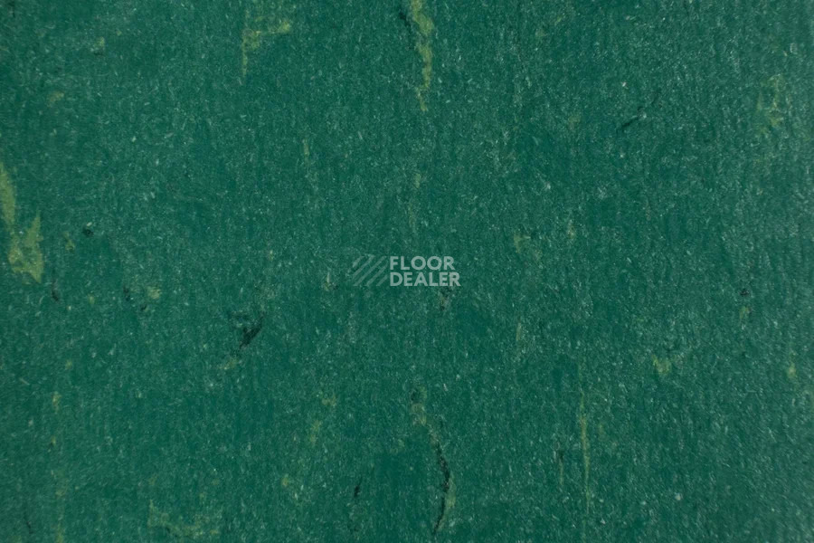 Forbo Marmoleum Solid Piano 3649 - 364935 greenwood фото 2 | FLOORDEALER