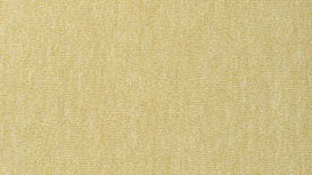 Ковролин Vorwerk Passion 1002 Vorwerk 2d43 фото 1 | FLOORDEALER