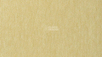 Ковролин Vorwerk Passion 1002 Vorwerk 2d43 фото 1 | FLOORDEALER