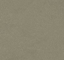 Линолеум Forbo Marmoleum Solid Walton 3355-335535 rosemary green фото 1 | FLOORDEALER