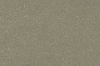 Линолеум Forbo Marmoleum Solid Walton 3355-335535 rosemary green фото 1 | FLOORDEALER