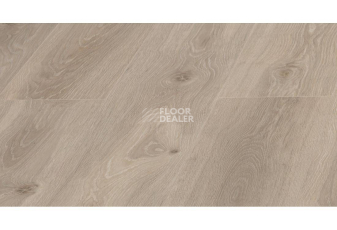 Ламинат Kronopol Platinium Linea d3509 Дуб Лион фото 1 | FLOORDEALER