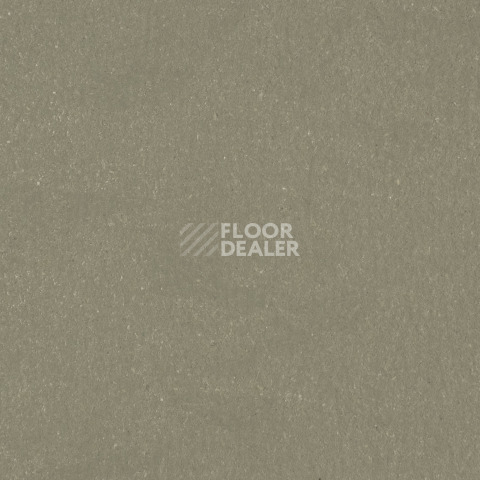 Линолеум Forbo Marmoleum Solid Walton 3355-335535 rosemary green фото 1 | FLOORDEALER