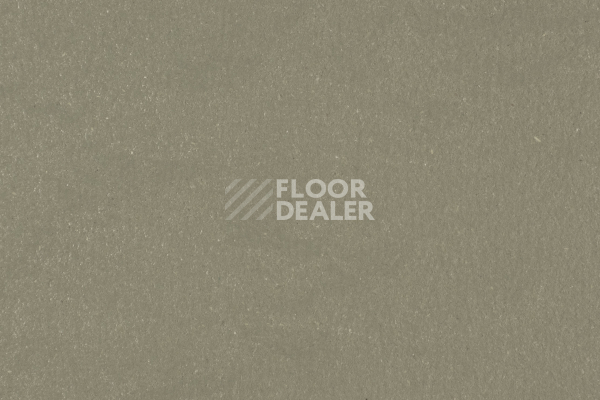 Линолеум Forbo Marmoleum Solid Walton 3355-335535 rosemary green фото 1 | FLOORDEALER