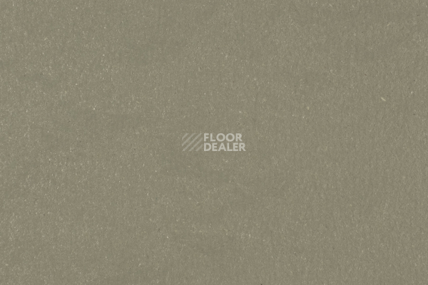 Линолеум Forbo Marmoleum Solid Walton 3355-335535 rosemary green фото 1 | FLOORDEALER