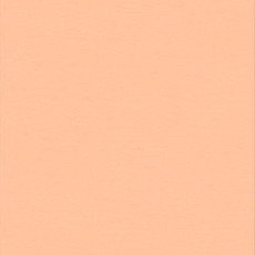 Линолеум Настенное покрытие Tarkett Wallgard Rolls Orange фото 1 | FLOORDEALER