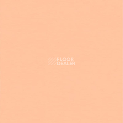 Линолеум Настенное покрытие Tarkett Wallgard Rolls Orange фото 1 | FLOORDEALER