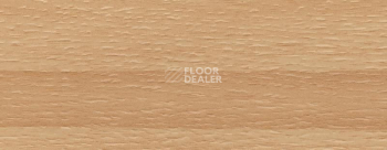 Плинтус Dollken EP 60/13 2333 фото 2 | FLOORDEALER