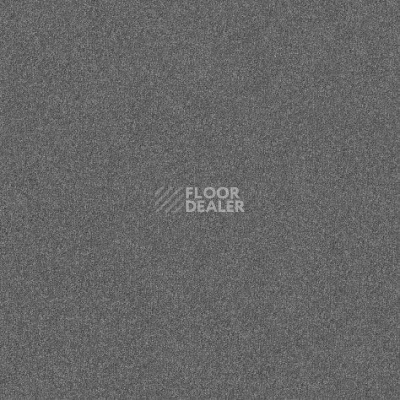 Ковролин Apoluza Upway n 8224 фото 1 | FLOORDEALER