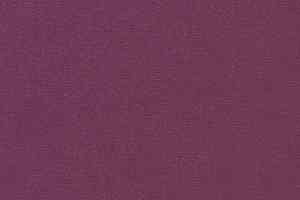 Ковролин Vorwerk Passion 1021 Vorwerk 1j92 фото  | FLOORDEALER