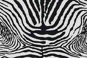 Ковролин Halbmond Classic Selection 64-003 f 12 фото  | FLOORDEALER